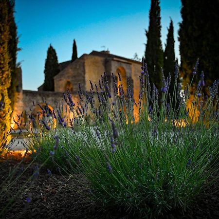 Chateau Saint-Pierre De Mejans Puyvert ภายนอก รูปภาพ