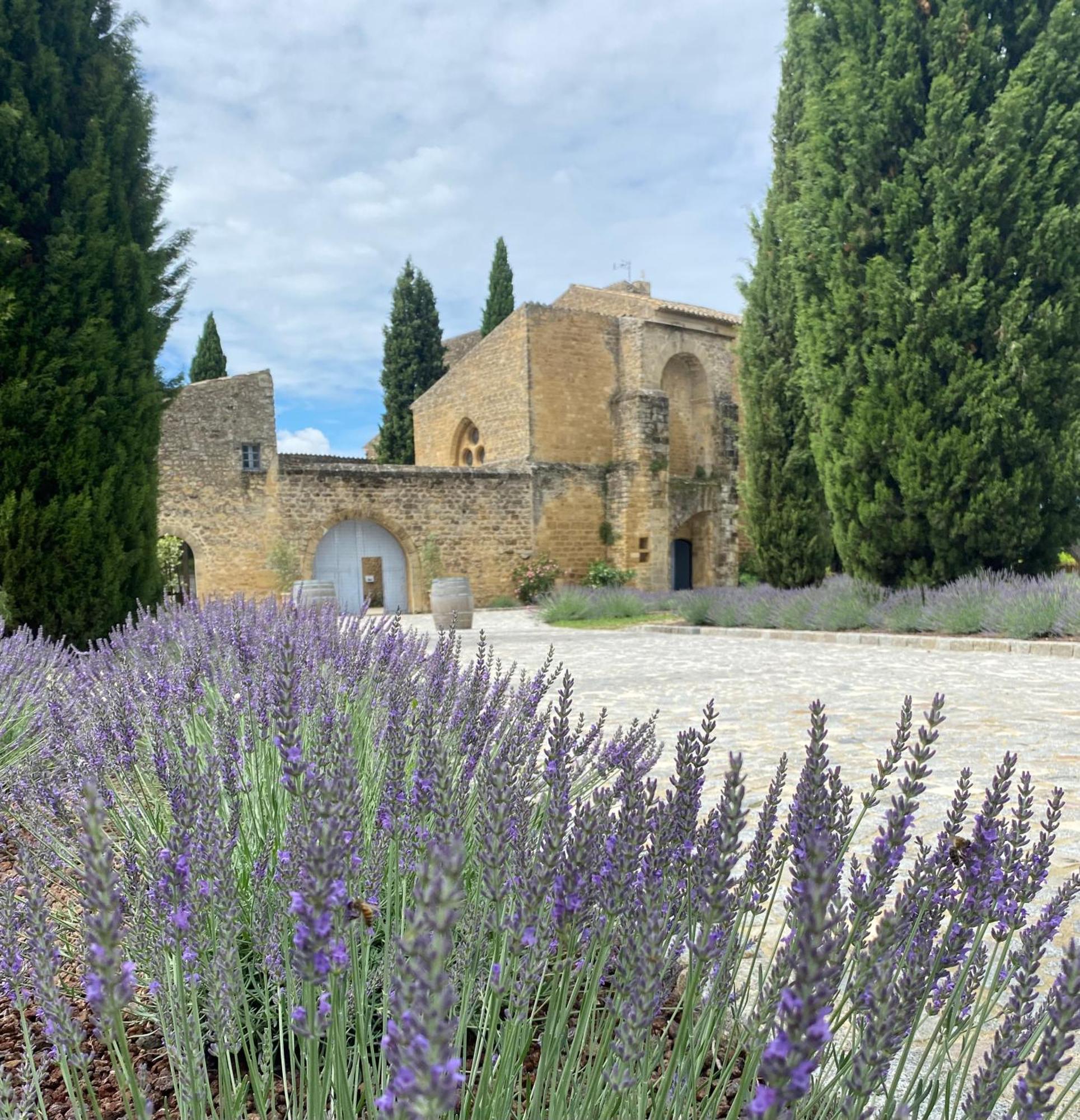 Chateau Saint-Pierre De Mejans Puyvert ภายนอก รูปภาพ